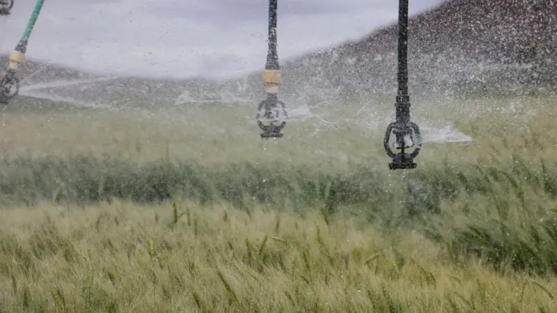L'agricoltura usa il 70% dell'acqua dolce del mondo