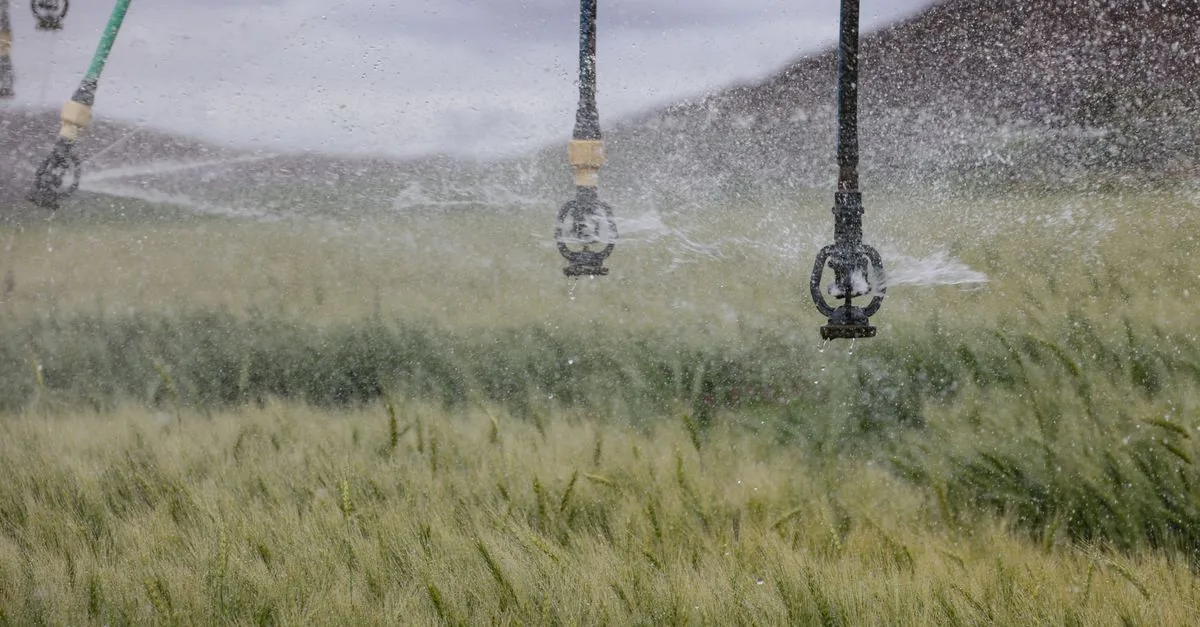 L'agricoltura usa il 70% dell'acqua dolce del mondo