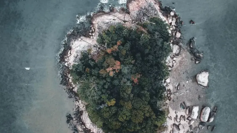 Nessuno dei 23 obiettivi sulla biodiversità è stato raggiunto