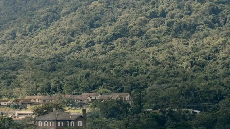 A Nusantara solo il 2% della zona protetta è foresta