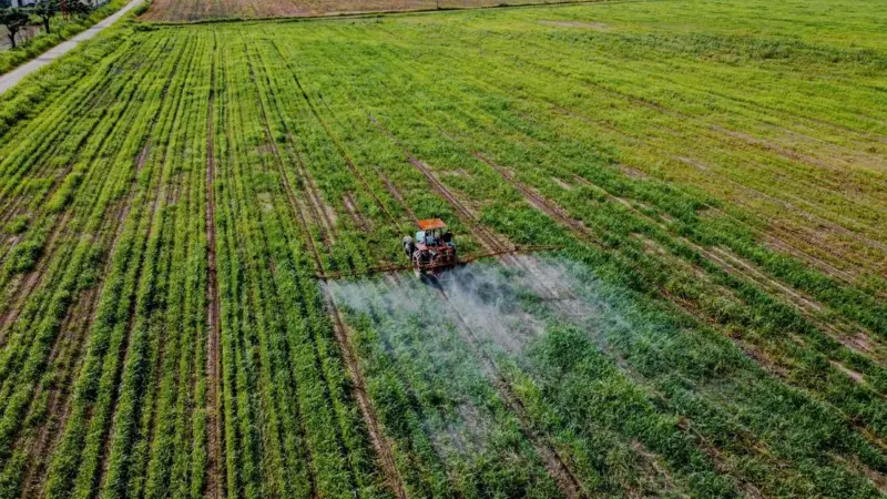 Connessi in ufficio, scollegati nel campo: il paradosso dell'agricoltura digitale europea