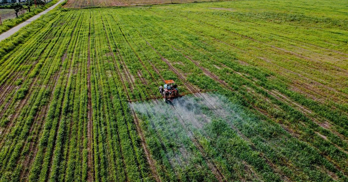 Connessi in ufficio, scollegati nel campo: il paradosso dell'agricoltura digitale europea