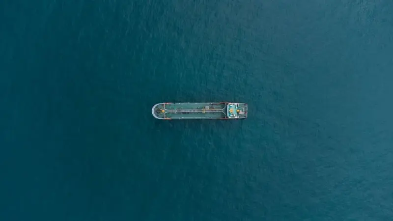 Fertilizzare l'oceano rimuove poca CO2 e per poco tempo