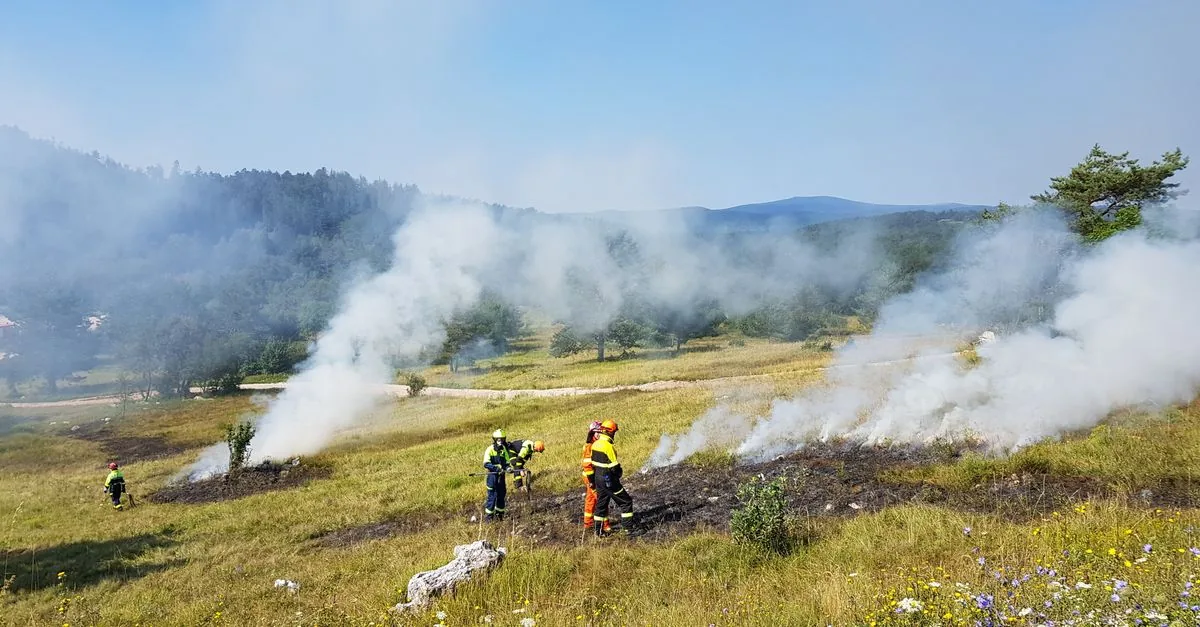 I satelliti vedono gli incendi, chi li spegne guadagna 350 dollari
