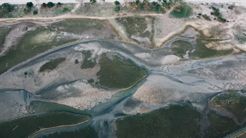In Carolina del Nord gli habitat costieri continuano a sparire