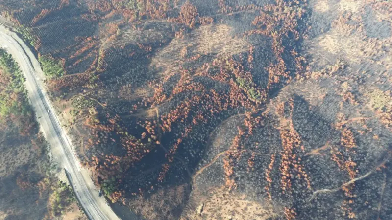 In Gironda il fuoco ha evacuato 12 mila persone