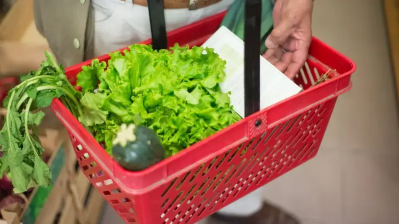 La FAO ha calcolato quanto ci costano i cibi che mangiamo