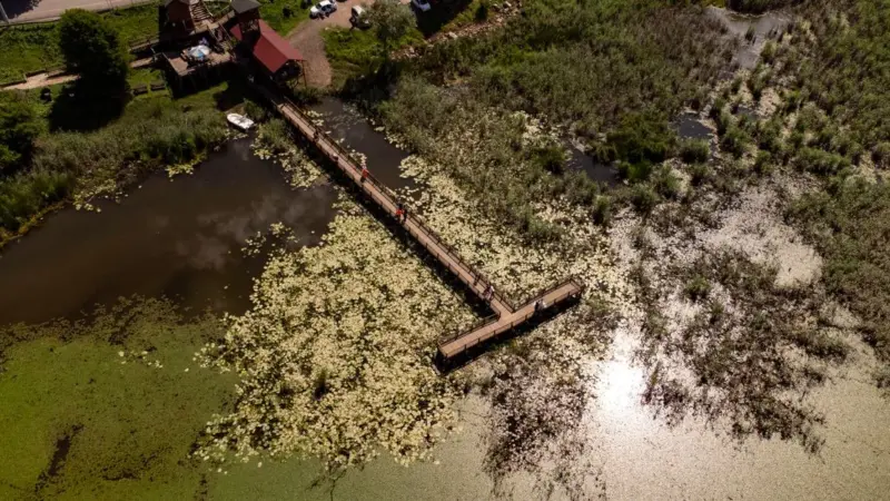 La laguna di Orbetello rischia un vuoto di gestione