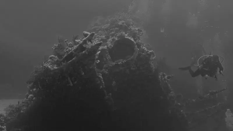 Nel Mediterraneo le spugne marine stanno morendo