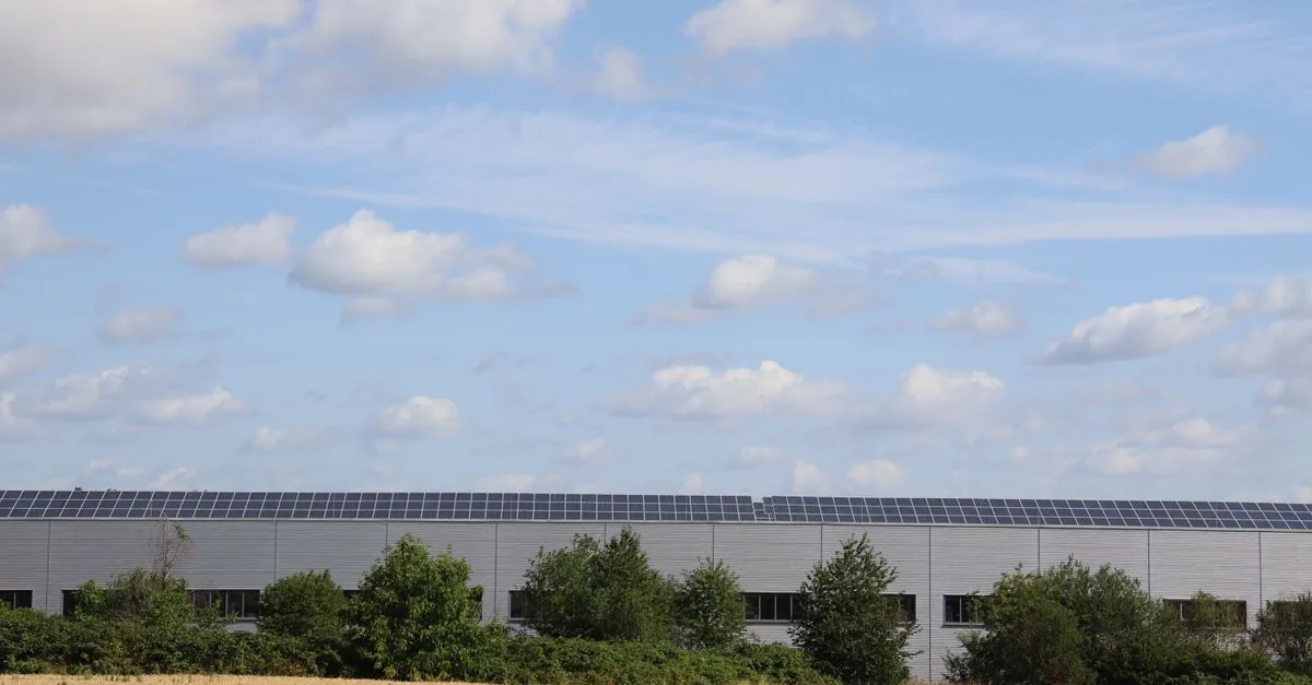 New York mette dieci milioni sull'agrivoltaica