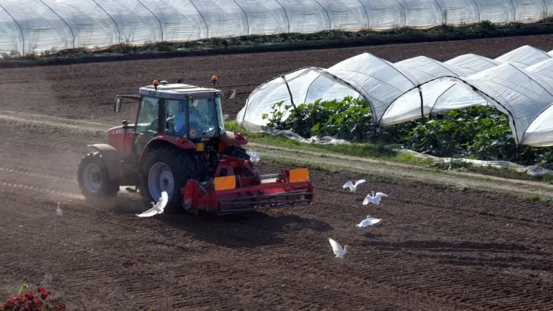 Ricambio generazionale in agricoltura: 12 contro 57, e quel 6% che può restare sulla carta