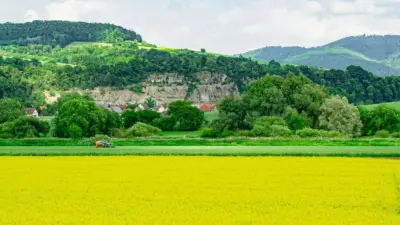 Ventuno giorni contro il 2030: il film fatto di scarti di colza che sparisce nel suolo