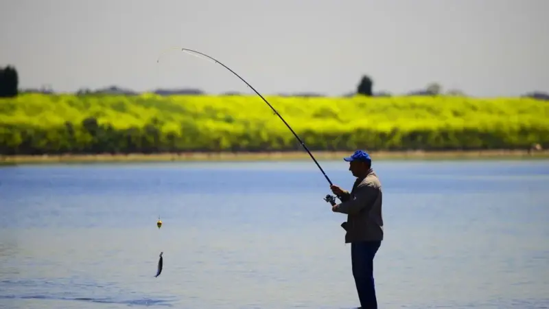 Yellowstone ha chiuso la pesca per cinque estati su sei